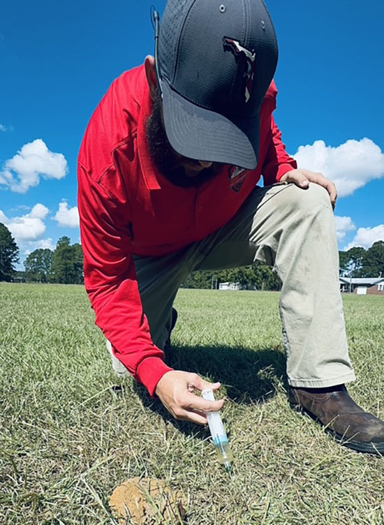 Termite inspection and prevention