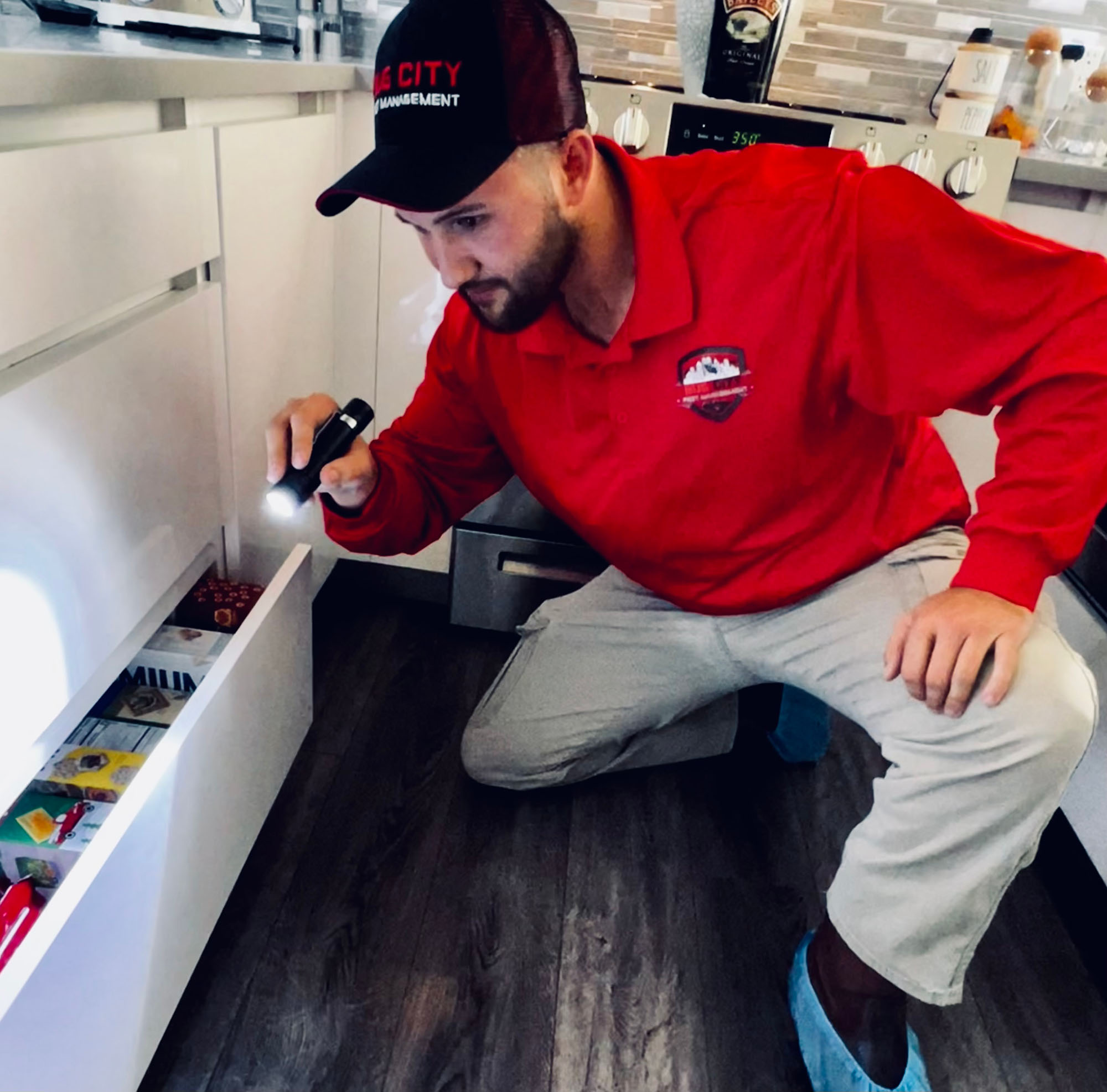 Effective Cockroach Control Methods for Florida Homes